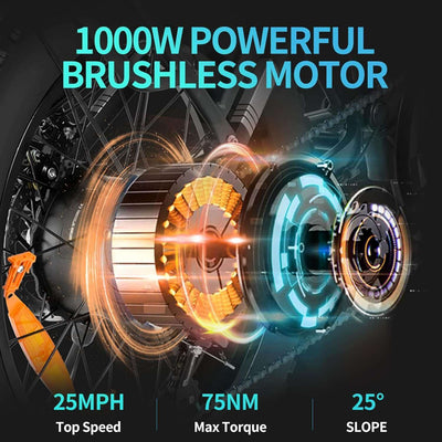 Ridstar Q20 Lite Electric Bike For Adults 1000W Motor 48V 15AH Battery