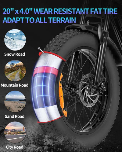 Ridstar Q20 Lite Electric Bike For Adults 1000W Motor 48V 15AH Battery