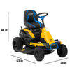 Cub Cadet CC30E Riding Lawn Electric Mower (33BA27JDB10)