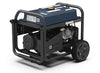 Firman Tri Fuel Portables Generators T09275