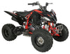 Regency PRO Ultra Sport 250cc ATV