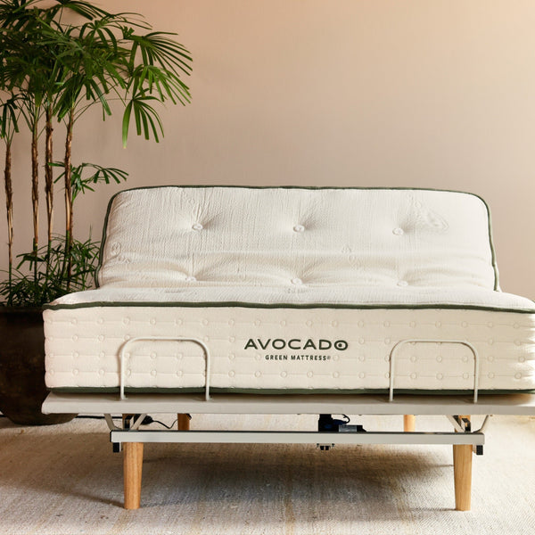Avocado Adjustable Base