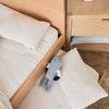 Kids Bed Frame