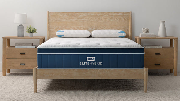 Bear Elite Hybrid