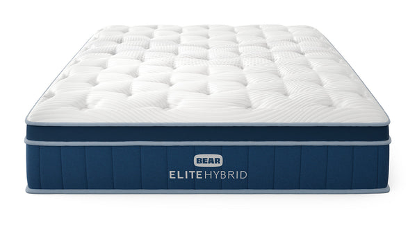 Bear Elite Hybrid