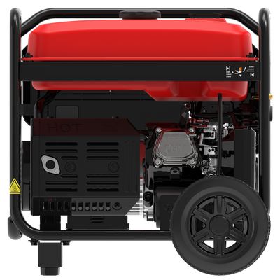 GXS6600RD Remote Dual Fuel Portable Generator