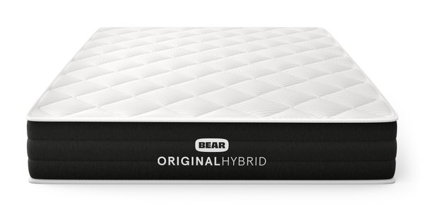 Bear Original Hybrid
