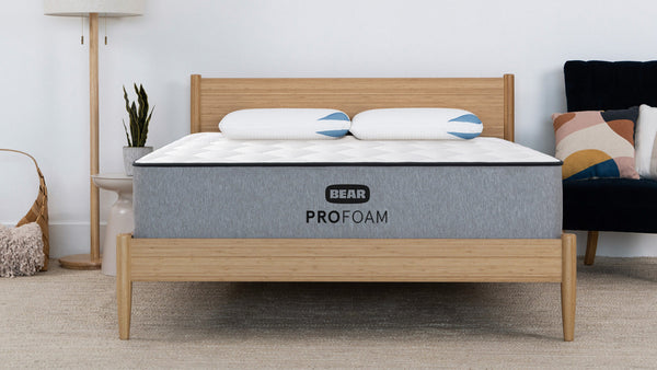 Bear Pro Foam