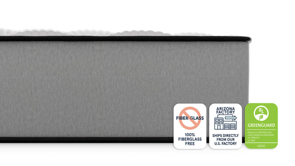 Bear Pro Foam