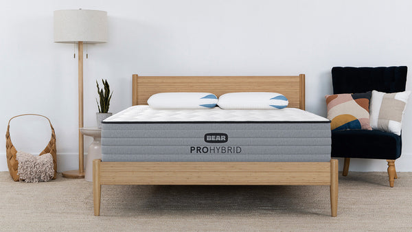 Bear Pro Hybrid
