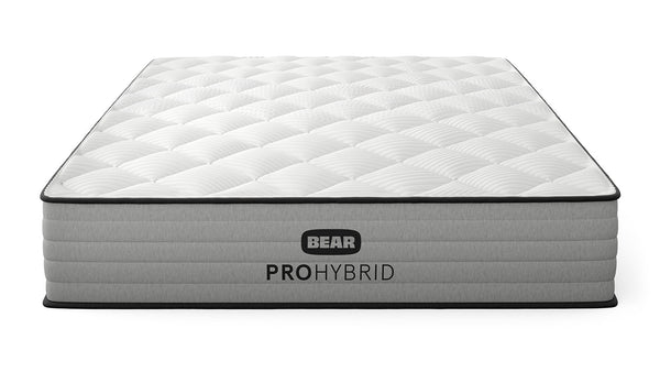 Bear Pro Hybrid