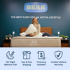 Bear Natural