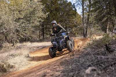 Colemann Powersportss AT200R 169cc Gas Powered Adult ATV