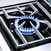 Broil King Regal S 590 Pro Gas Grills BK95834