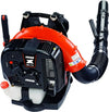 h1 14.webp