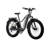 Aventon Aventure 2 Electric Fat Tire Bike
