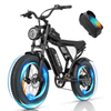 Ridstar Q20 Fat Tire Electric Bicycle