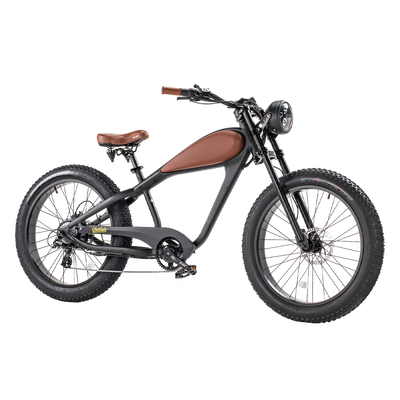 Revi Bikes Cheetah Fat Tire Electric Cruiser Bike 48V 750W