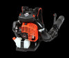 l1 14.webp