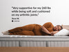 Leesa Plus Hybrid Mattress