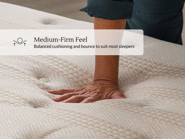 Leesa Reserve Hybrid Mattress