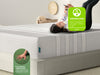 Leesa Youth Mattress