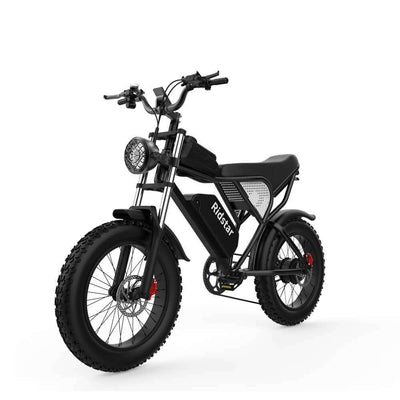 ridstar electric bike