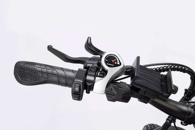 Ridstar H26 Pro Foldble Electric Bike 1500W Motor 48V 20AH/23AH Battery