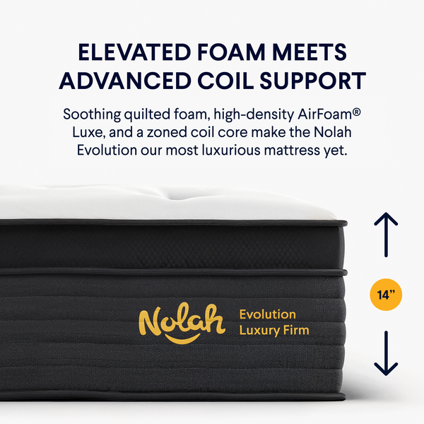 Nolah Evolution