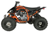 Vitaccii Pentora Racing ATV