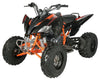 Vitaccii Pentora Racing ATV