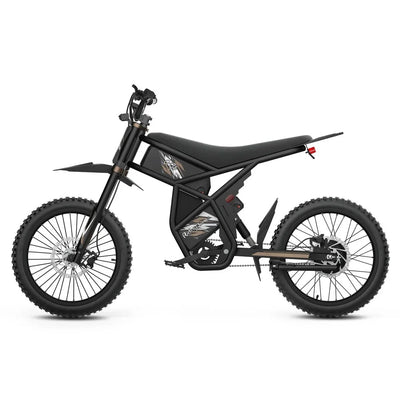 Riding Times GT73 Pro 60V/36Ah 3000W Off-Road Electric Dirt Bikes