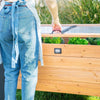 Aggie Cold Frame Box