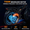 Colorway Orange 750W Fat Tire Electric Bike