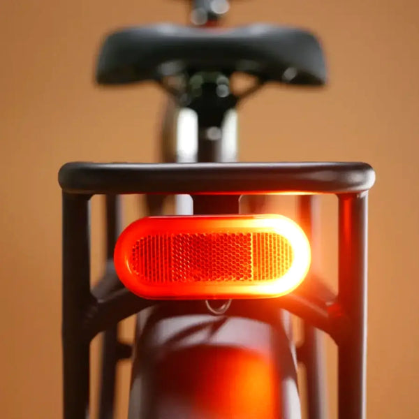 Rad Power Bikes Radster Trail Electric Off-Road Bike, Copper Red, Large