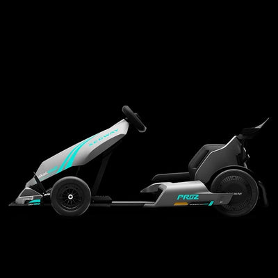 Segway GoKarts Pro 2