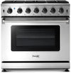 Thor Kitchen LRG3601U 36-Inch Professional Freestanding Gas Range with Convection Oven, Stainless Steel