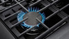 Thor Kitchen LRG3601U 36-Inch Professional Freestanding Gas Range with Convection Oven, Stainless Steel