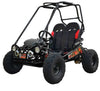 TrailMaster MINI XRX+ Go-Karts.